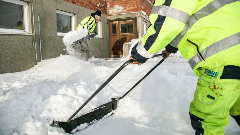Två personer i varselkläder skottar snö framför en källardörr. Personen närmast i bild använder en snösläde. Personen närmast ingångsdörren skottar med en snöskyffel. Snön yr.
