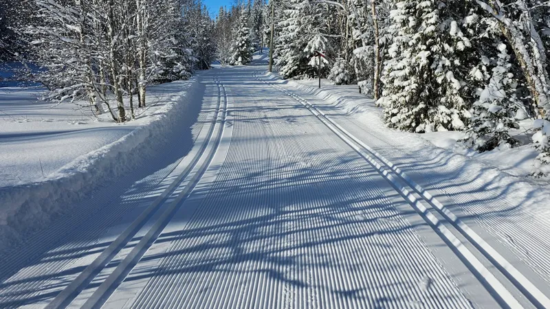 En nypistad snötäckt väg med nydragna skidspår omgiven av träd och snö.