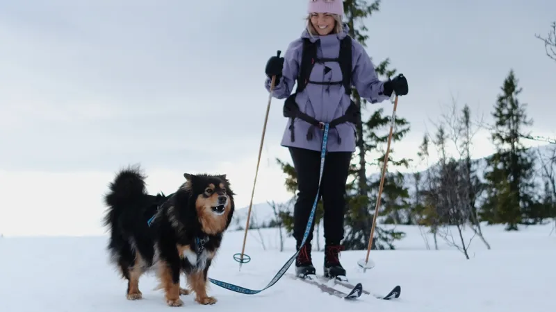 En person på skidor med en hund i snön.