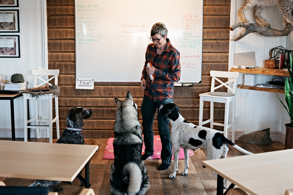 Anna har en bakgrund som lärare. Idag lär hon bland annat hundägare att kommunicera bättre med sin hund. 